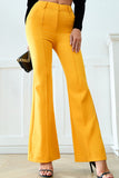 Pleated Flare Pants with Pockets