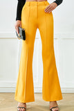 Pleated Flare Pants with Pockets